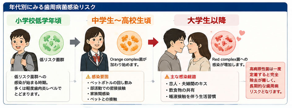 年代別にみる歯周病菌感染リスク