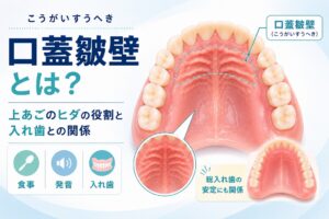 口蓋皺壁とは？｜上あごのヒダの役割と入れ歯との関係