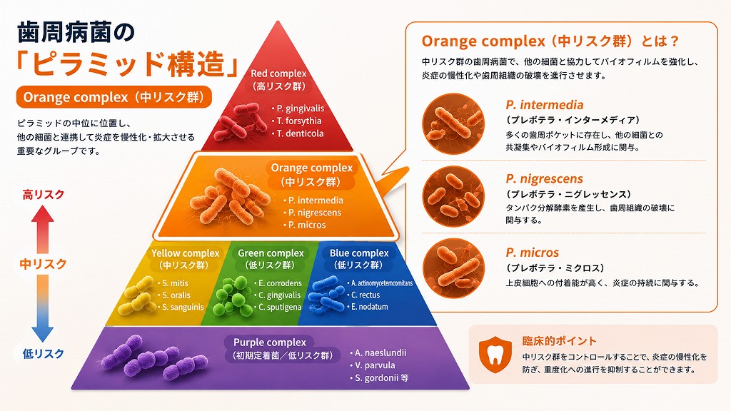 中リスクのオレンジコンプレックス