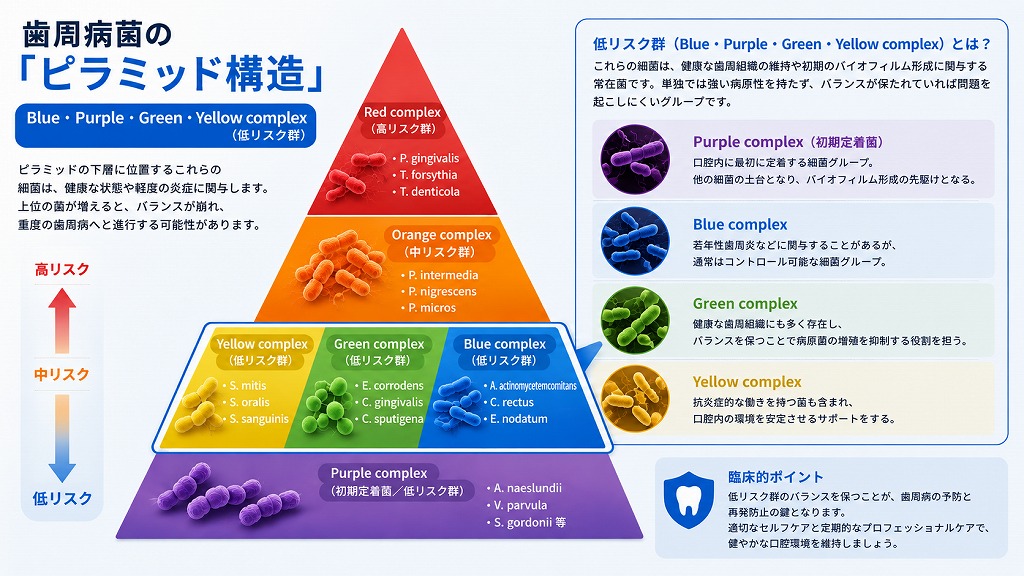 低リスクの歯周病菌