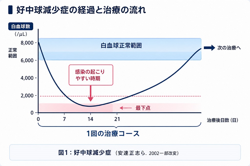 骨髄抑制期