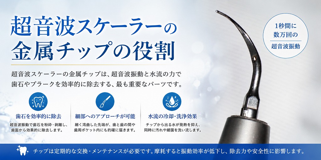 超音波スケーラーの金属チップの役割