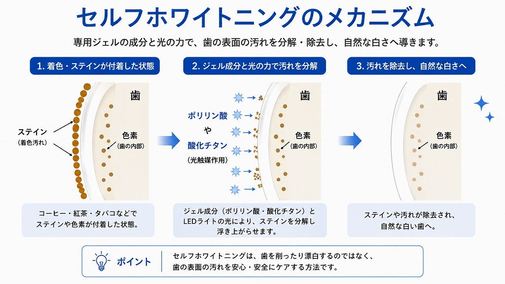 セルフホワイトニングのメカニズム
