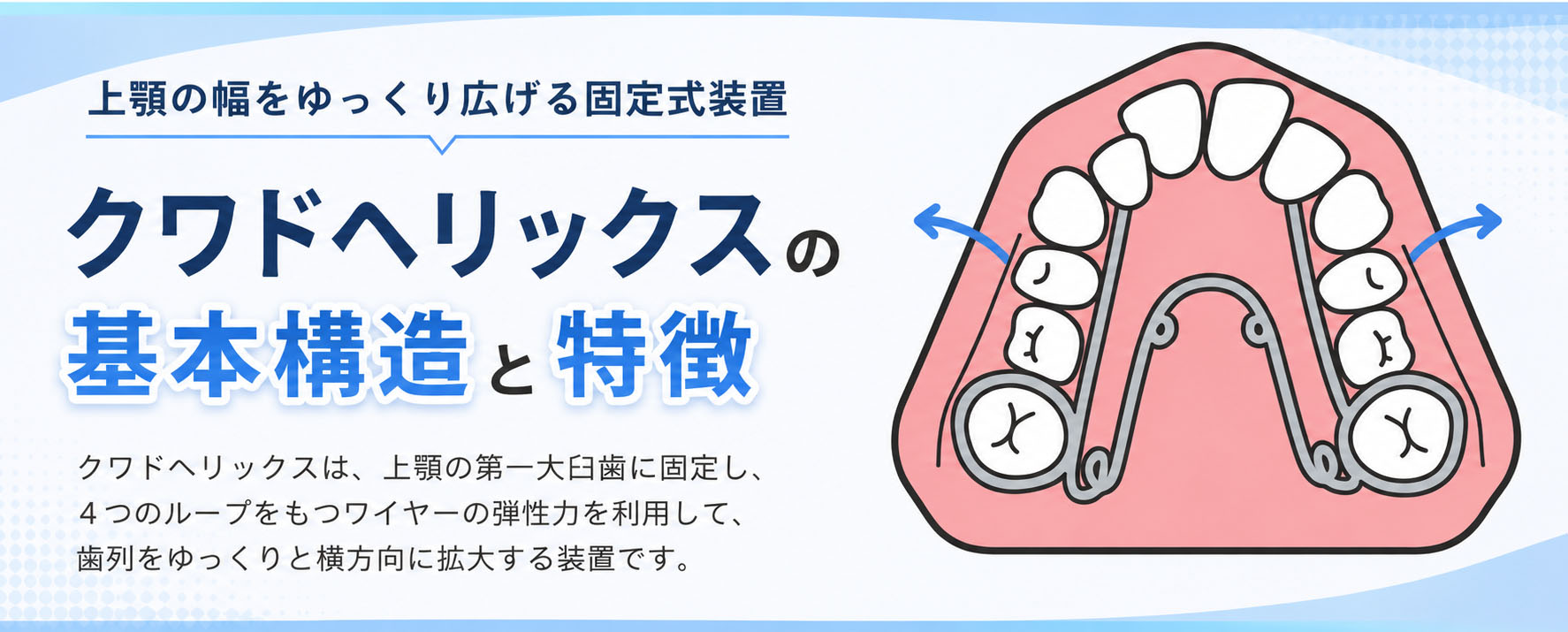 クワドヘリックスの基本構造と特徴