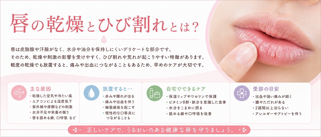 唇の乾燥とひび割れとは？