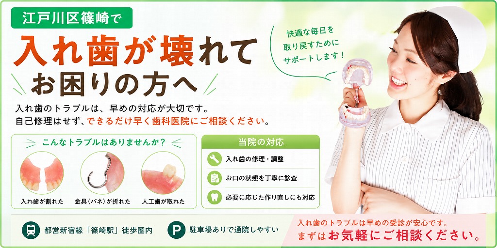 江戸川区篠崎で入れ歯が壊れてお困りの方へ｜修理・調整・作り直しに対応