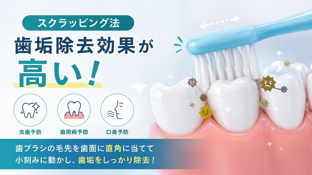 高い歯垢除去効果