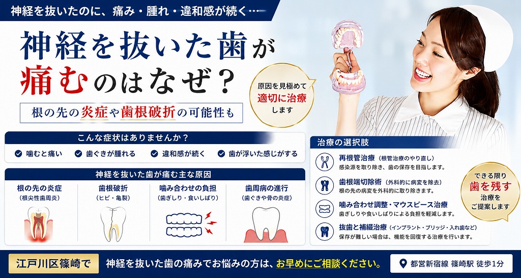神経を抜いた歯が痛むのはなぜ？根の先の炎症や歯根破折の可能性も｜江戸川区篠崎